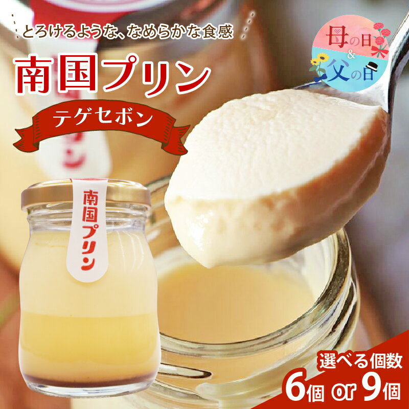 【ふるさと納税】【内容量が選べる】 南国プリン テゲセボン 6個 9個 お菓子 おかし 洋菓子 母の日 父の日 スイーツ デザート おやつ 加工品 食品 国産 ご褒美 お祝い 記念日 ギフト 贈り物 プレゼント バレンタイン ホワイトデー 人気 おすすめ 宮崎県 都農町 送料無料