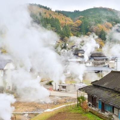 ふるさと納税 小国町 【阿蘇小国産】地熱乾燥菊芋3点セット(チップス・三年番茶・パウダー) |  | 03