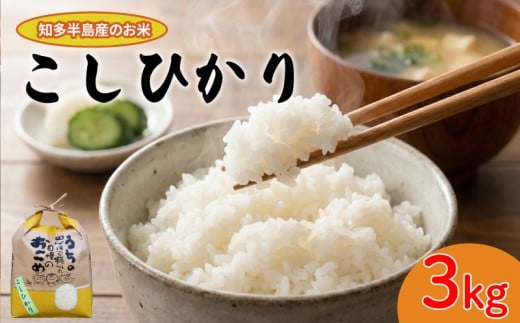 【数量限定】 令和7年産 こしひかり 選べる 3kg お米 こめ ライス ご飯 愛知県産 2025年産 こしひかり お米 こめ ライス ご飯 こしひかり お米 こめ ライス ご飯 こしひかり お米 こめ ライス ご飯 こしひかり お米 こめ ライス ご飯 こしひかり お米 こめ ライス ご飯 おすすめ 人気 ふるさと納税お米 ふるさと納税米 ふるさと納税こめ 愛知県 南知多町