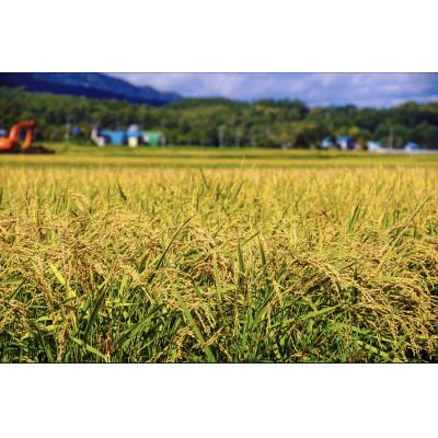 ふるさと納税 富良野市 令和7年産　北海道富良野産「ゆめぴりか」精米5kg |  | 01