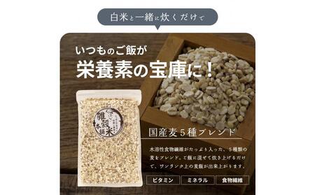 国産麦5種ブレンド 9kg(450g×20袋)