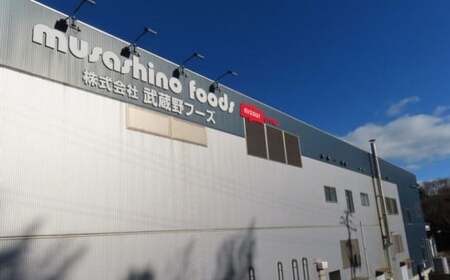 【スライス済】 国産ムラサキイカ スライス 120g(20枚)×5パックセット いか