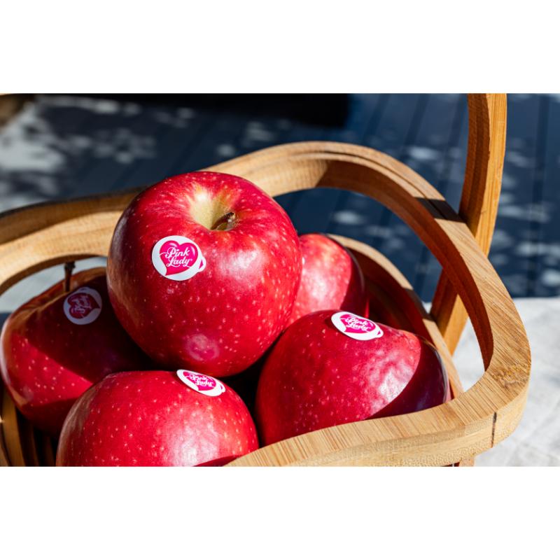 【ふるさと納税】中松井農園 ピンクレディー約5kg 20～25玉 果物 フルーツ りんご 長野県産 信州 信州のリンゴ 酸味 小ぶり 芳醇 風味 クッキングアップル デザート 食後 爽やかな酸味 希少　お届け：2026年2月上旬～5月下旬まで