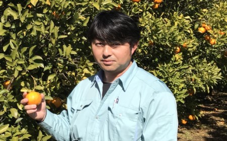 【先行予約】越年完熟室戸ポンカン2.5kg sa003　みかん ぽんかん ポンカン ﾎﾟﾝｶﾝ 家庭用 土佐くだもの畑 高知 みかん ミカン 蜜柑 mikan 果物 くだもの フルーツ 柑橘 濃厚 甘