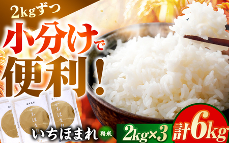 【2026年1月中旬より順次発送】福井県産 いちほまれ 2kg×3袋 合計6kg 福井県 ブランド米 / 白米 精米 甘みとつや 小浜市 / シマダ農園[BFAV014]