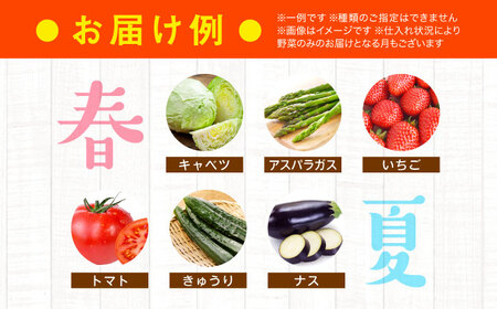 【6回定期便】野菜（6種以上）定期便[AGAP019]