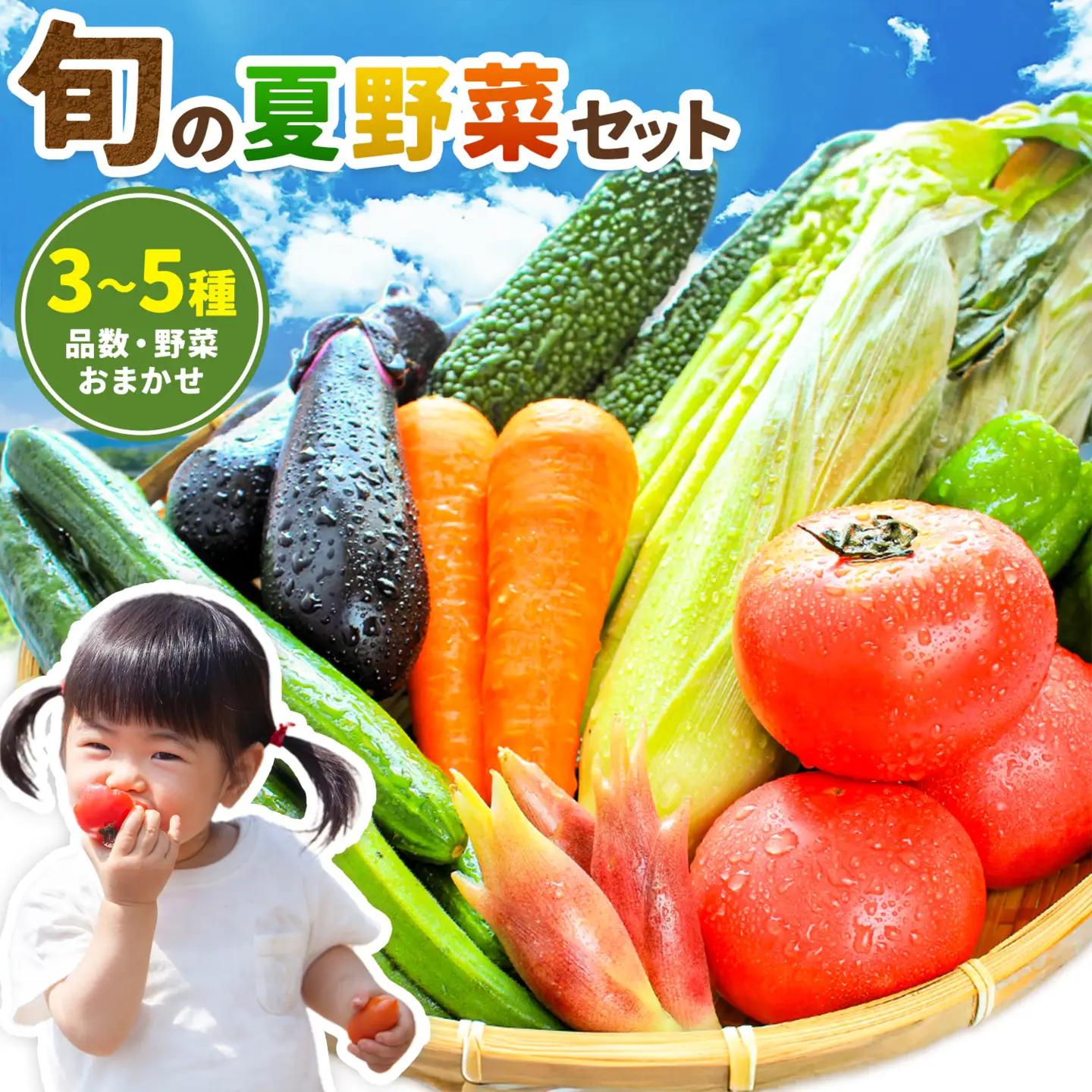旬 の 夏野菜 セット 3～5種類  浦西自然農園 野菜