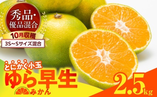
                  【2026年先行予約】ゆら早生 みかん とにかく小玉 箱込 2.5kg ( 内容量2.3kg ) 3S～Sサイズ 秀優混合 有田みかん 和歌山県産_MK1061
                