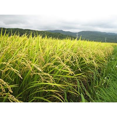 ふるさと納税 八雲町 【北海道八雲町熊石産】ゆめぴりか10kg(精白米) |  | 02