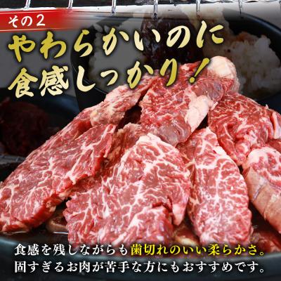 ふるさと納税 西予市 【定期便2ヶ月】<やわらか 味付き 牛ハラミ 約1kg 麹熟成>肉 おいしい 愛媛 |  | 03
