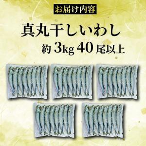 いわしの丸干し  約 3kg   イワシ