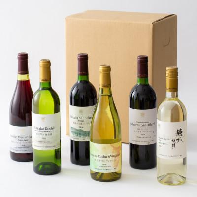 ふるさと納税 韮崎市 韮崎産赤白ワイン飲み比べ6本セット　750ml×6本 |  | 02