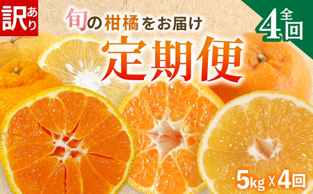 【定期便4回】 訳あり 季節の柑橘4種 各5kg 合計 20kg ポンカン 不知火 甘夏 河内晩柑   柑橘 みかん 果物 フルーツ ゼリー アイス ジュース 定期便  フルーツ定期便 和製 グレープフルーツ 夏文旦 ぽんかん 旬の果物 旬のフルーツ 愛南町 愛媛県 愛南フルーツ