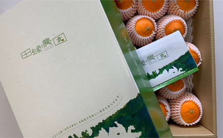 【先行予約】【家庭用】甘平 10kg ※離島への配送不可 （2026年1月25日より順次発送） IKTA032