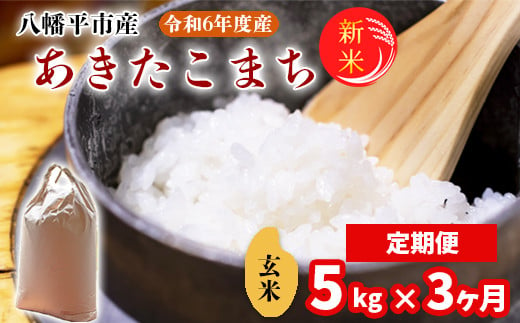 
【2024年11月発送開始】 令和6年産 新米 岩手県産 あきたこまち 玄米 5kg×3ヶ月定期便 ／ 米 産地直送 農家直送 【中沢農産】
