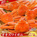 【ふるさと納税】送料無料 北海道産【朝ゆで】訳ありオオズワイガニ 選べる1kg～4kg詰 道産品オオズワイ ズワイガニ ずわい蟹 カニ 蟹 規格外品 不揃い 訳アリ 訳有り