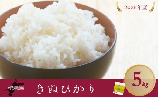 お米 5kg きぬひかり 令和7年産 愛媛県 米 愛媛県産 精米 米 こめ コメ 白米 ごはん ライス 愛媛 伊予市｜B537