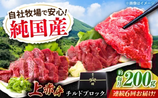 【全6回定期便】『純国産』熊本の味 上赤身 馬刺し 約200g ブロック チルド 冷蔵 【有限会社 九州食肉産業】 馬刺し 馬肉 桜肉 モモ肉 もも 馬 うま ウマ ヘルシー 国産 新鮮 上赤身 赤身 上質 小分け セット 大容量 低カロリー 高タンパク 冷凍 生食 生肉 産地 部位 ギフト 贈答用 食品 合志 合志市 [AYCN038]