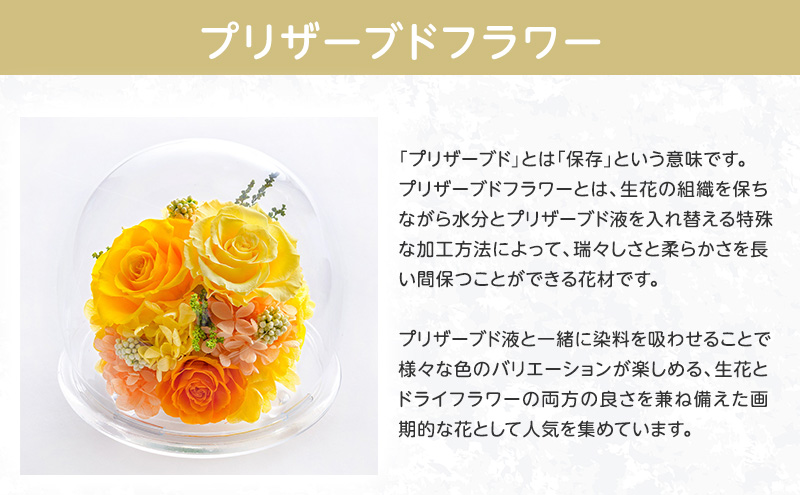 花 ブリザードフラワー 蓮華 (れんげ) ギフト プレゼント お祝い 誕生日 お供え アレンジ インテリア 東京都 墨田区【輪菊/一対（左右対称2点セット）】