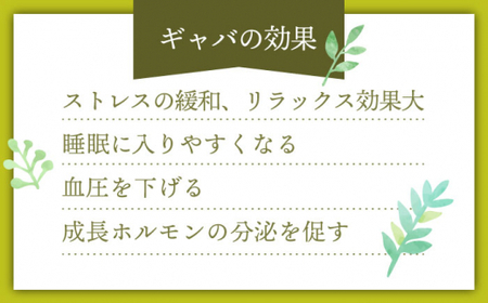 【心からのリラックスを】釜炒り ギャバロン 茶 ティーバック 30,20,7個入×各1袋【上ノ原製茶園】[QAO014]