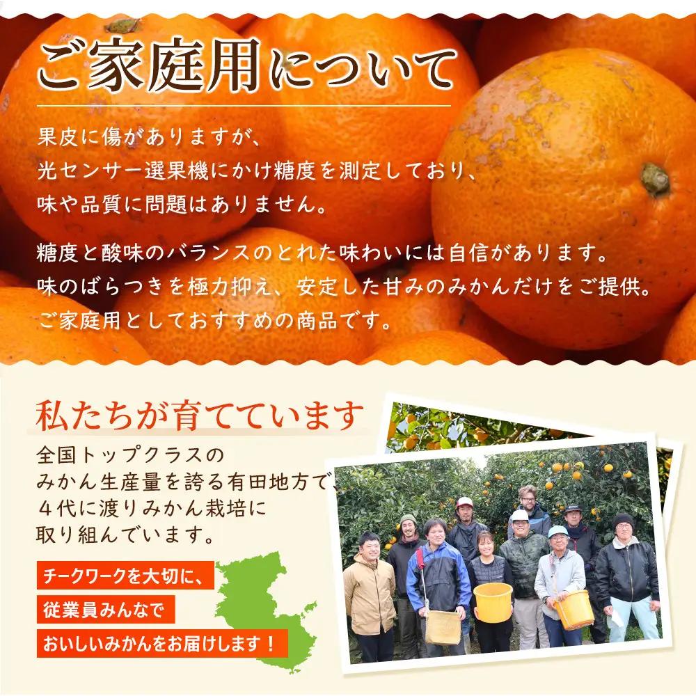 ［先行予約］家庭用 有田みかん10kg+250g（傷み補償分）［2026年10月初旬から2027年1月末日頃順次発送予定］［IKE314］
