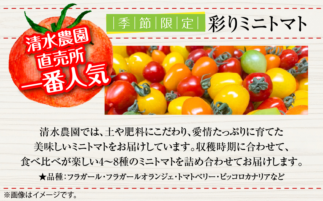 ＜2026年7月上旬よりお届け＞カラフルミニトマト約2.7kg 【農園直送】北海道壮瞥産 SBTO004