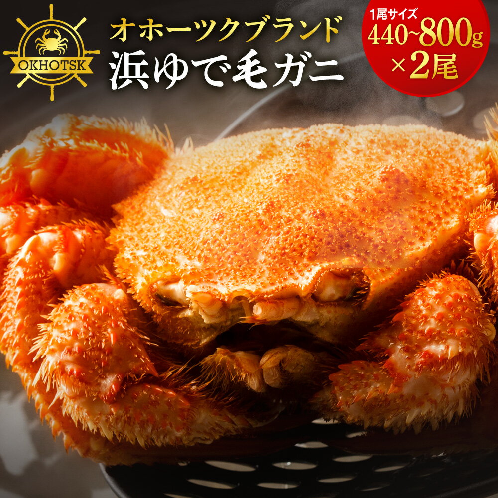【ふるさと納税】 ☆北海道産 毛ガニ 選べる約440g～800g 2尾セット 計880g～1.6kg かに カニ 蟹 毛蟹 冷凍 北海道産 浜頓別町北海道ふるさと納税 ふるさと納税 北海道 浜頓別 通販 贈答品 贈り物