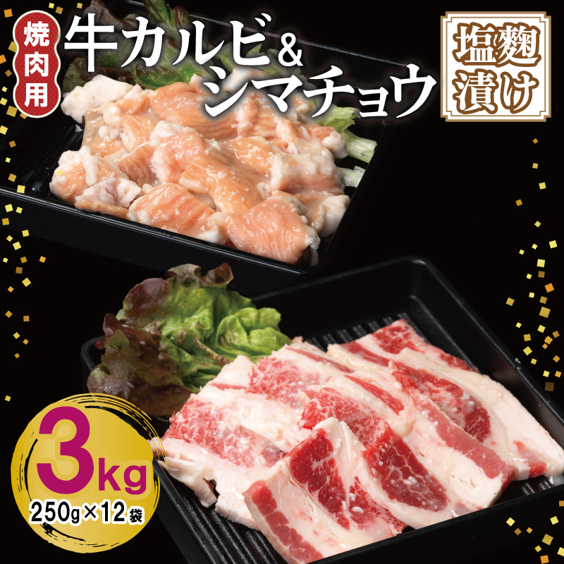 牛カルビ＆シマチョウ 塩麹漬け 焼肉セット 合計3kg【味付け 小分け 焼くだけ 簡単調理 BBQ 250g×12袋 牛肉 ホルモン】 G3400