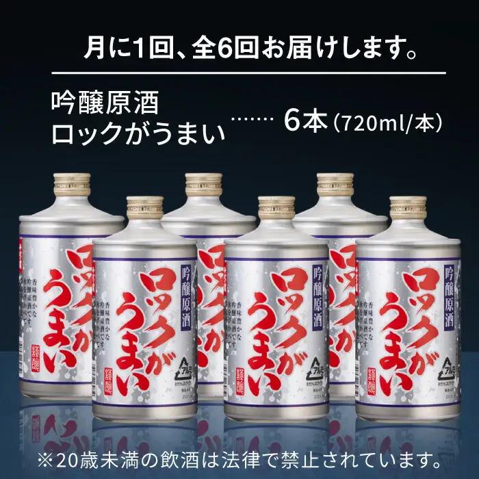 【全6回定期便】 吟醸原酒ロックがうまい 720ml 6本【千代の園酒造 株式会社 】日本酒 お酒 熊本 山鹿市 [ZAI008]