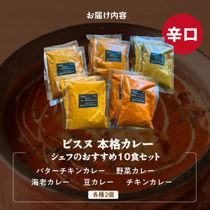 【辛口】ビスヌ 本格カレー　シェフのおすすめ10食_ビスヌ 本格 カレー シェフ おすすめ 10食 バターチキン 豆 海老 チキン 野菜 各 2個 辛口 インドカレー スパイス こだわり インド 直輸