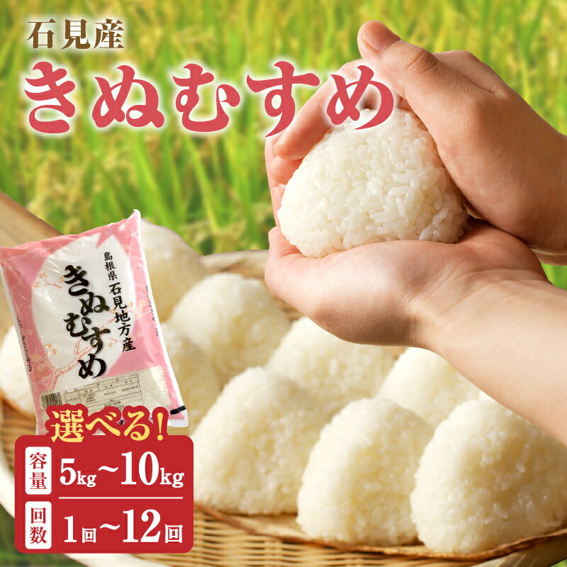 【ふるさと納税】【令和7年産】【新米先行予約】【定期便】石見産きぬむすめ【5kg〜10kg/1回〜12回】 選べる 定期便 米 お米 きぬむすめ 精米 白米 ごはん 新生活 応援 準備 お取り寄せ 特産