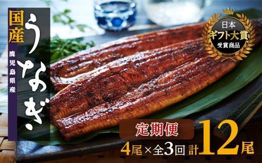 【定期便】国産 おおさきうなぎ 鹿児島県産うなぎ長蒲焼4尾（全3回）合計12尾 | 鹿児島県のうなぎは全国1位の生産量 大崎町の位置する大隅半島は特にうなぎ養殖が盛ん。うなぎの町 大崎町より美味しい 鰻 お届けします。ウナギ 蒲焼き 蒲焼 きざみ ひつまぶし 産地直送 直送 高級 厳選 炭火焼き 冷凍 鹿児島県 大崎町