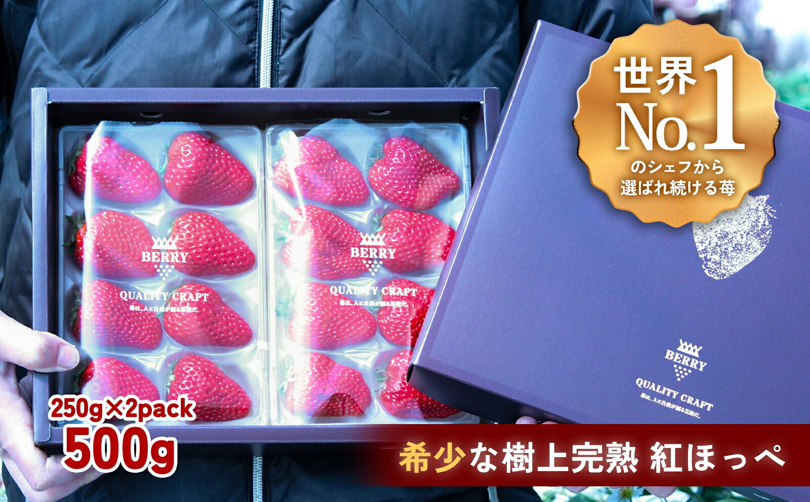 【ふるさと納税】【完熟クラフト苺BERRY】有名シェフ御用達【樹上完熟紅ほっぺ】約500g（出荷2026年12月上旬〜2027年5月下旬）