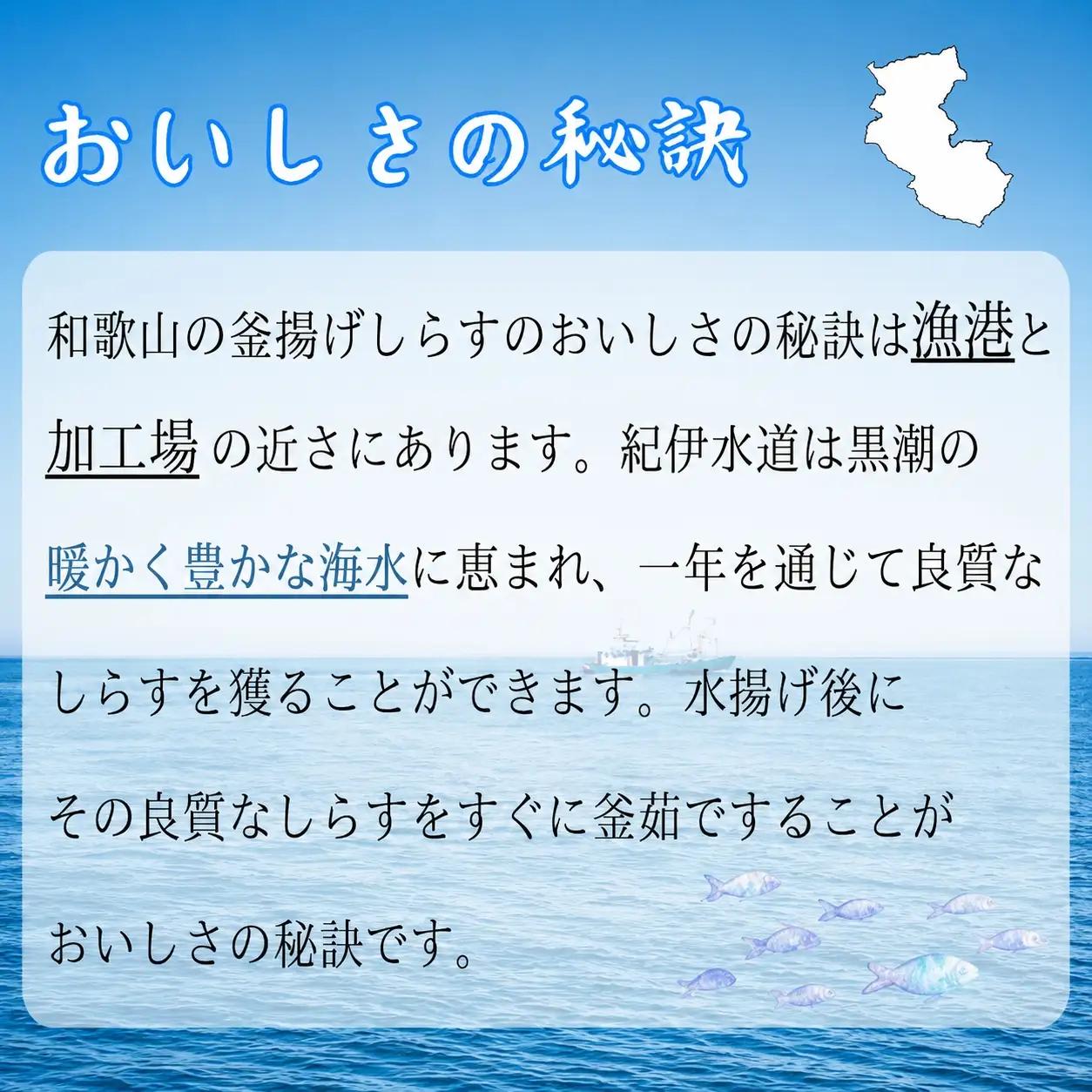 冷凍釜揚げしらす500g （100g×5パック） / シラス 厳選 小分け 冷凍便 お米のおとも【dig001B】