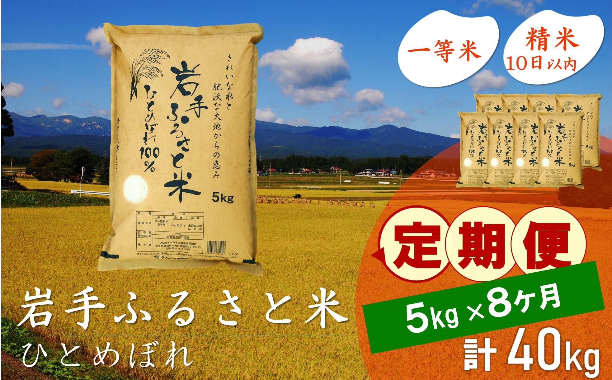 3人に1人がリピーター! ☆全8回定期便☆ 岩手ふるさと米 5kg×8ヶ月 令和6年産 一等米ひとめぼれ 東北有数のお米の産地 岩手県奥州市産【配送時期に関する変更不可】 [U0143]