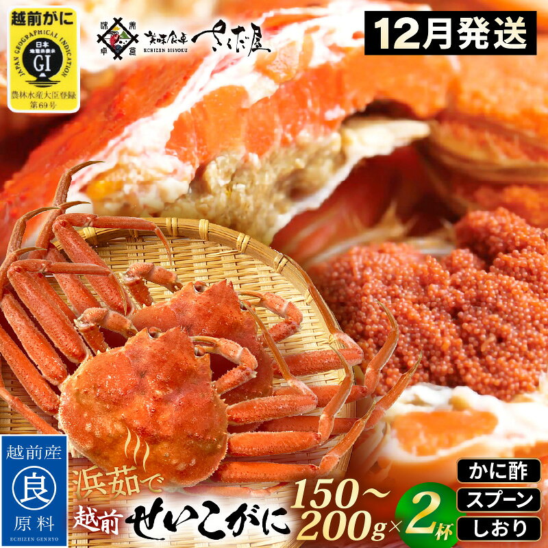 【ふるさと納税】≪浜茹で≫ 越前 せいこがに 150～200g × 2杯 / 3杯【雌 ズワイガニ】【カニ かに 蟹 越前ガニ セコガニ カニみそ】かに酢・かにスプーン・食べ方のしおり付 【12月発送分】希望日指定可 備考欄に希望日をご記入ください