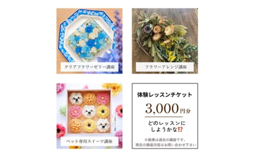 体験チケット　３０００円分 ／ 習い事 レッスン 達成感 No.285