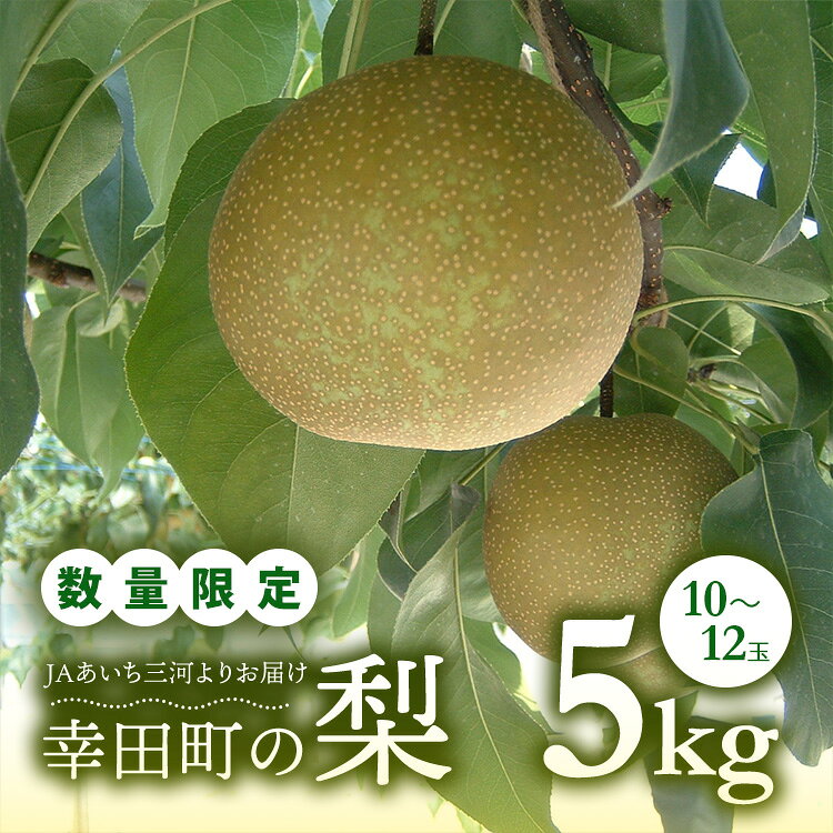 【ふるさと納税】 【先行予約】 《数量限定》 幸田町産「梨」5kg(10〜12玉) 箱入り なし ナシ 梨 フルーツ 果物 愛知県 ギフト ※2026年8月中旬〜9月下旬頃に順次発送予定 ※着日指定不可 ※北海道・沖縄・離島への発送不可