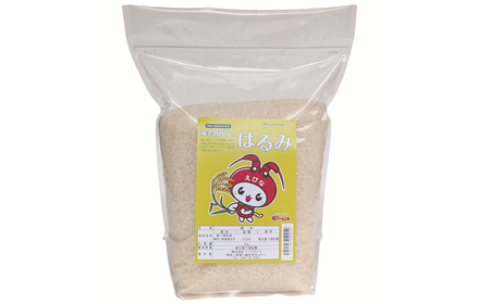 神奈川県海老名市産はるみ　2ｋｇ×5セット【 お米 神奈川県 海老名市 】