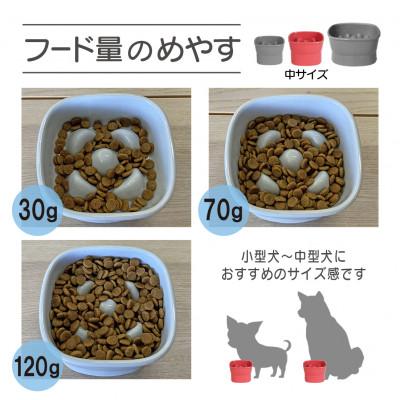 ふるさと納税 瑞浪市 美濃焼　陶器製ペット用フードボウル【早食い防止 高台フードボウル(中/ブルー)pet110】 |  | 02