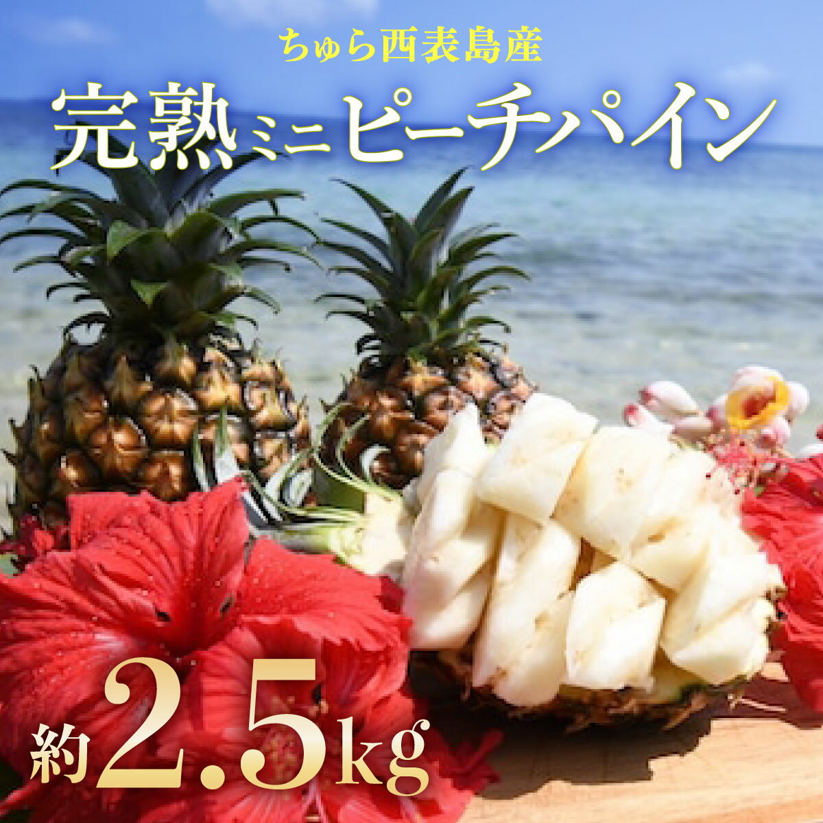 【ふるさと納税】2026年 先行予約ミニピーチパイン 約2.5kg 5～7玉ちゅら西表島産!! 完熟 パイン 果物 フルーツ パイナップル