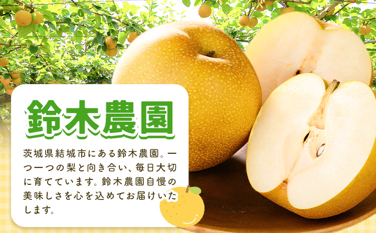 【2025年先行予約】とっくんちの梨「幸水」約5kg 《8月上旬-8月下旬頃出荷予定》 数量限定 鈴木農園 茨城県 結城市 数量限定 果物 フルーツ 甘み ジューシー 豊か 芳香 しゃりっ 爽やかな 