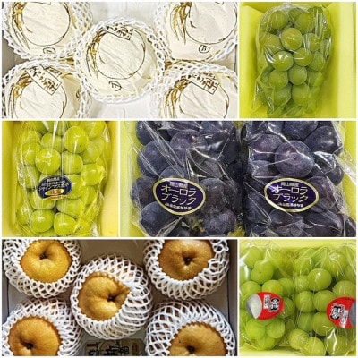 【発送月固定定期便】岡山県産  フルーツ定期便全6回【配送不可地域：離島】【4078577】