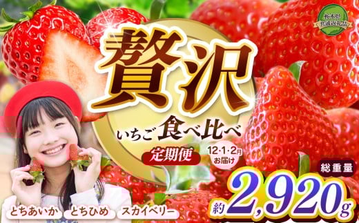 【2026年先行予約】とちあいか・スカイベリー・とちひめ贅沢いちご食べ比べ定期便 |定期便 贈答向け 美味しい  いちご 苺 ストロベリー 人気 果物 フルーツ 真岡市 栃木県 限定品種 送料無料 とちあいか スカイベリー とちひめ 食べ比べ