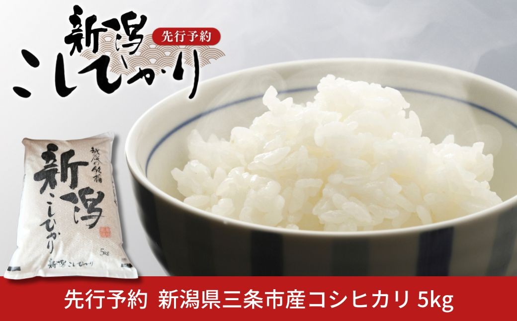 
                  先行予約 コシヒカリ 5kg 新潟県産 [2027年1月中旬から順次発送予定] 2026年産 令和8年産 こしひかり  [小林農園]  【014S147】
                
