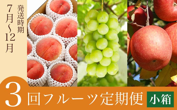 
            ［3回定期便］ 小布施のフルーツ3回コース 小箱 ［小布施屋］ 定期便 先行予約 フルーツ 数量限定 白桃 シャインマスカット ぶどう りんご お楽しみ 3回お届け 長野県産 信州産 令和7年産 【2025年7月～12月発送】 ［A-309］
          