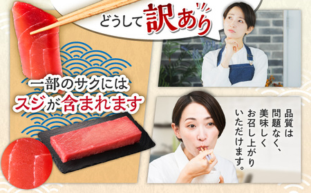 【 全6回 定期便 】老舗 三崎 まぐろ 問屋 から 直送 ！天然 マグロ 赤身 3kg を お届け M063-T09 訳アリ 訳あり ワケアリ わけあり 鮪 マグロ赤身 三崎港 海鮮 魚 お魚 魚介