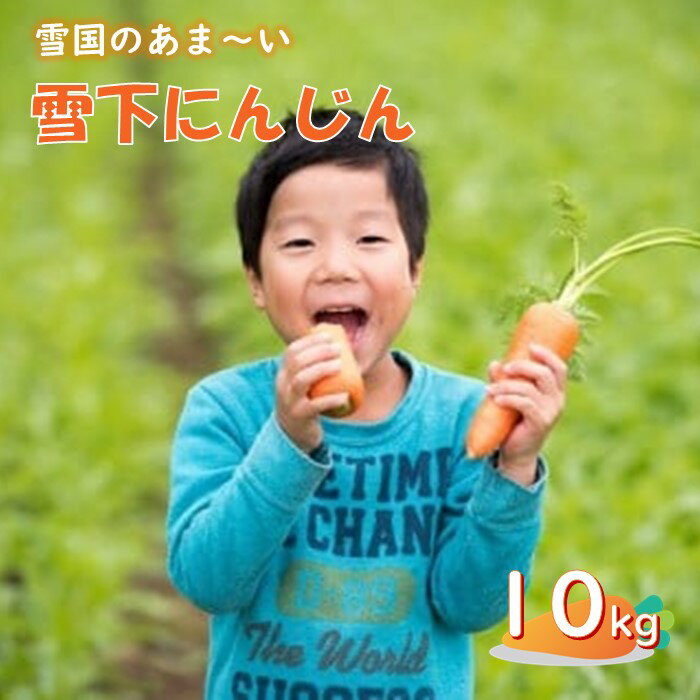 【ふるさと納税】2026年 1月 発送開始 予定 雪国のあまーい 雪下にんじん 約10kg 人参嫌いの息子のために開発！ 野菜 人参 にんじん 甘い野菜 10kg 国産 東北 岩手 季節限定 産地直送 食育 岩手県 北上市 D0145