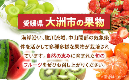 ぶどう【先行予約】【2026年8月中旬から順次発送】ニューベリーA　4-5房入　2.0kg 愛媛県大洲市/株式会社フジ・アグリフーズ[AGBA024]