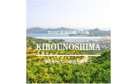 【12月中旬から発送】 希望の島 愛果28号 特選品 大玉 約1.5kg（6玉）＜2月上旬までに発送＞ （愛媛県産 みかん 蜜柑 オレンジ みかん 柑橘 果物 フルーツ みかん 家庭用 お取り寄せ み